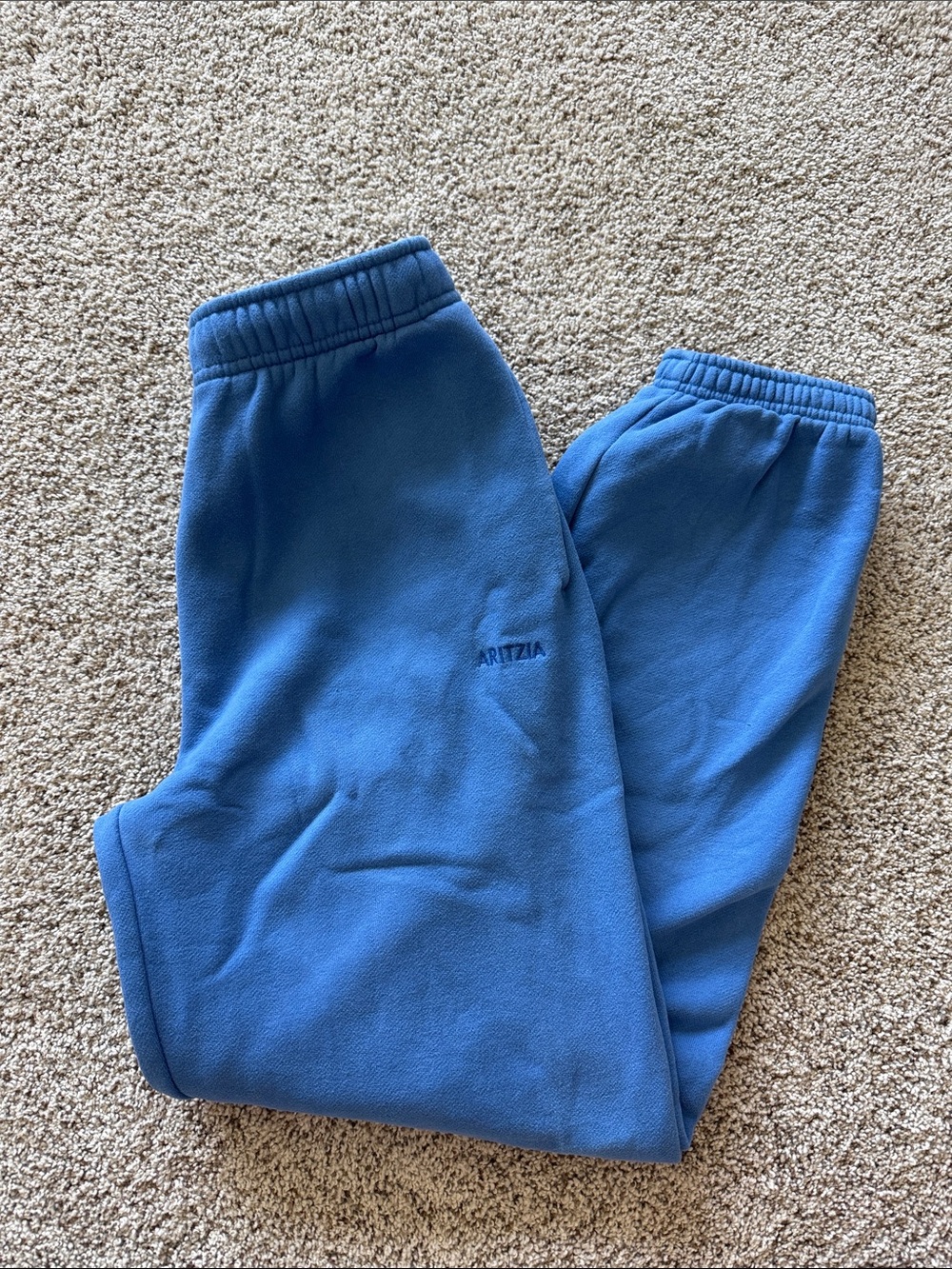 Aritzia Blue Fleece Joggers